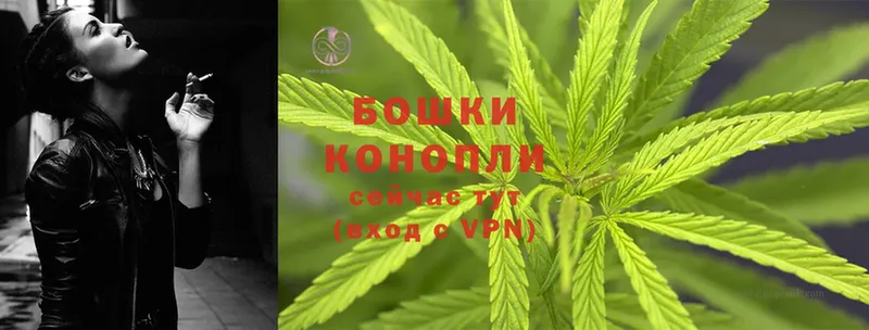 Шишки марихуана OG Kush  Новошахтинск 